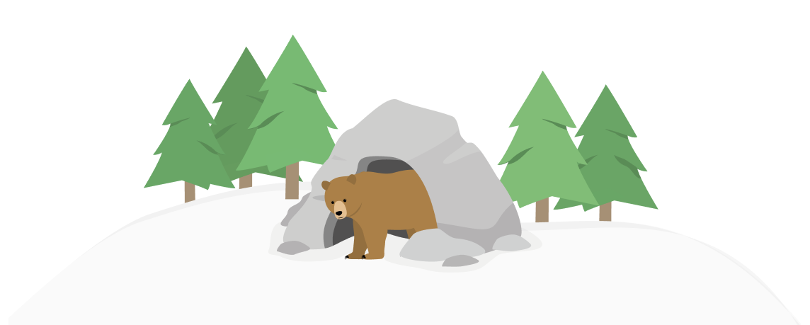 A bear poking its head out of a cave